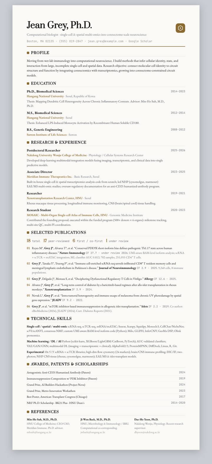 Bronze Rule CV template preview