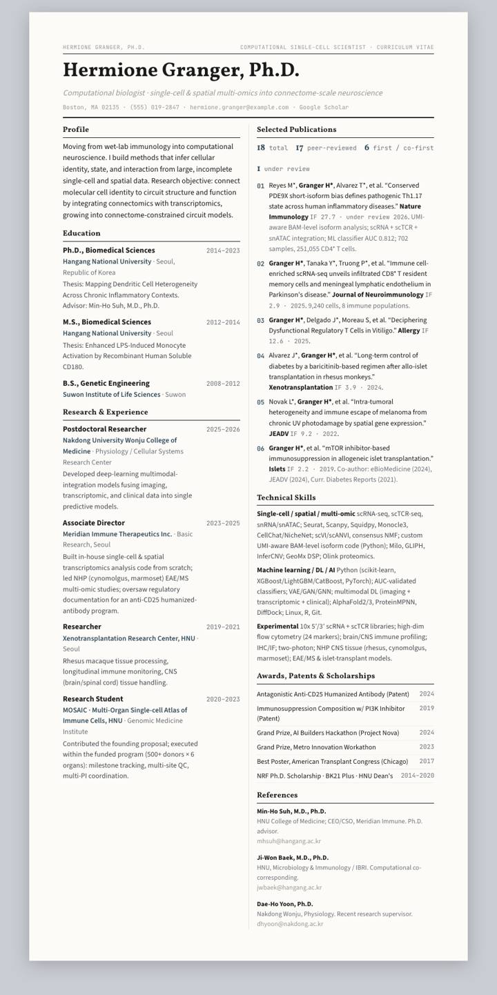 Steel Broadsheet CV template preview