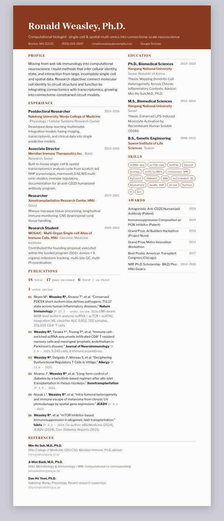 Rust Banner CV template preview