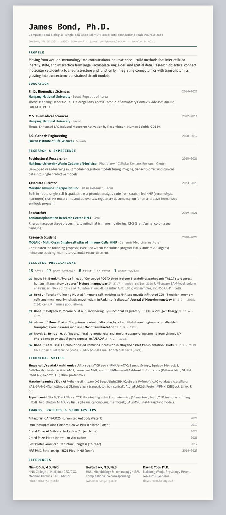 DeepTeal Ledger CV template preview