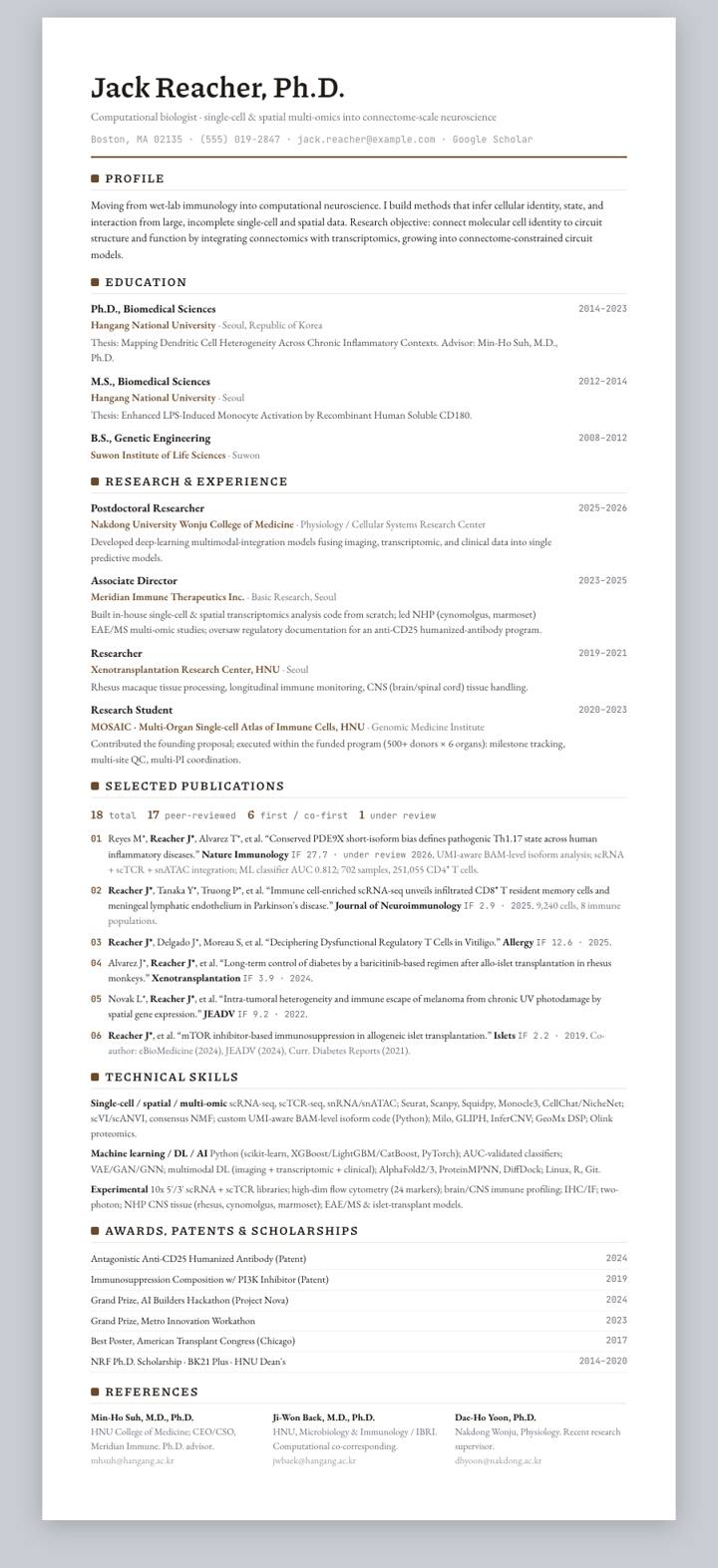 Umber Rule CV template preview