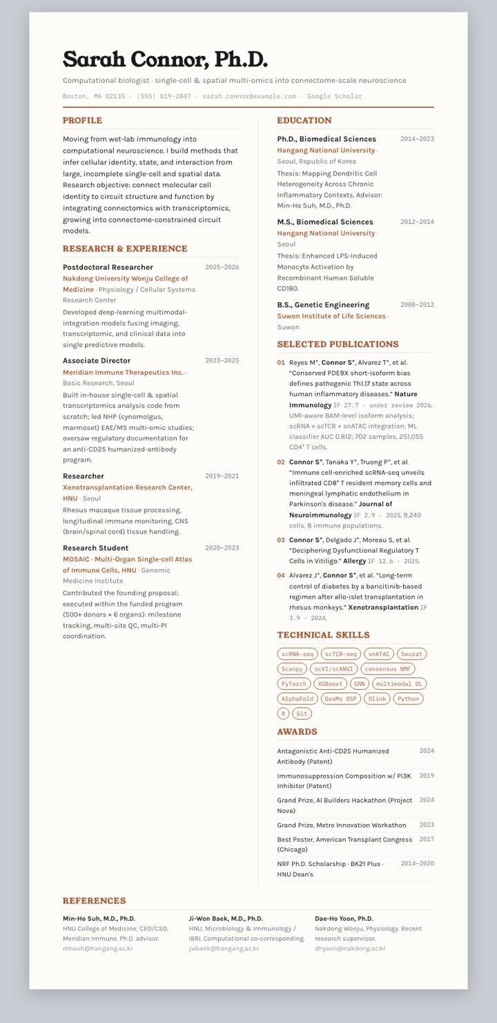 Terra Bicolumn CV template preview