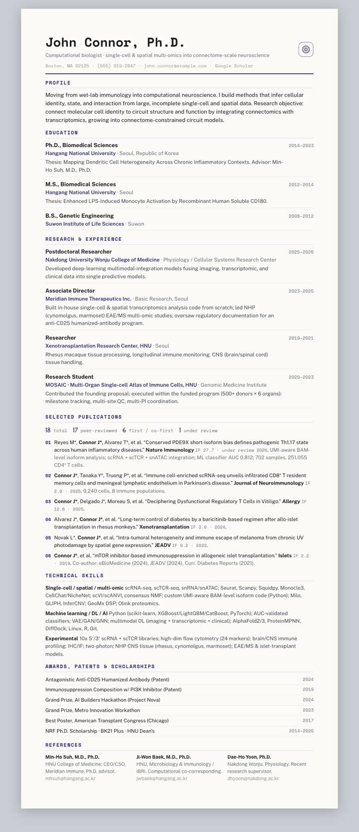 Royal Ledger CV template preview
