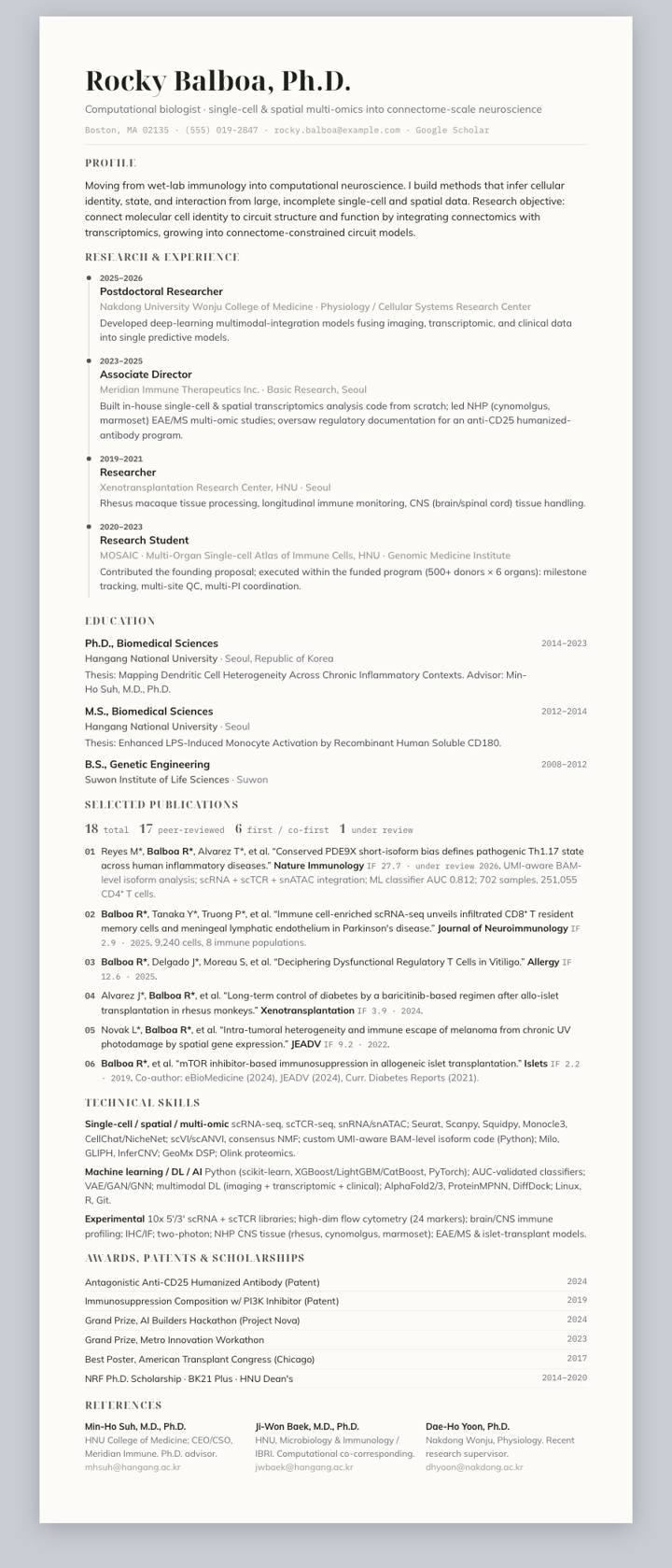 Stone Track CV template preview