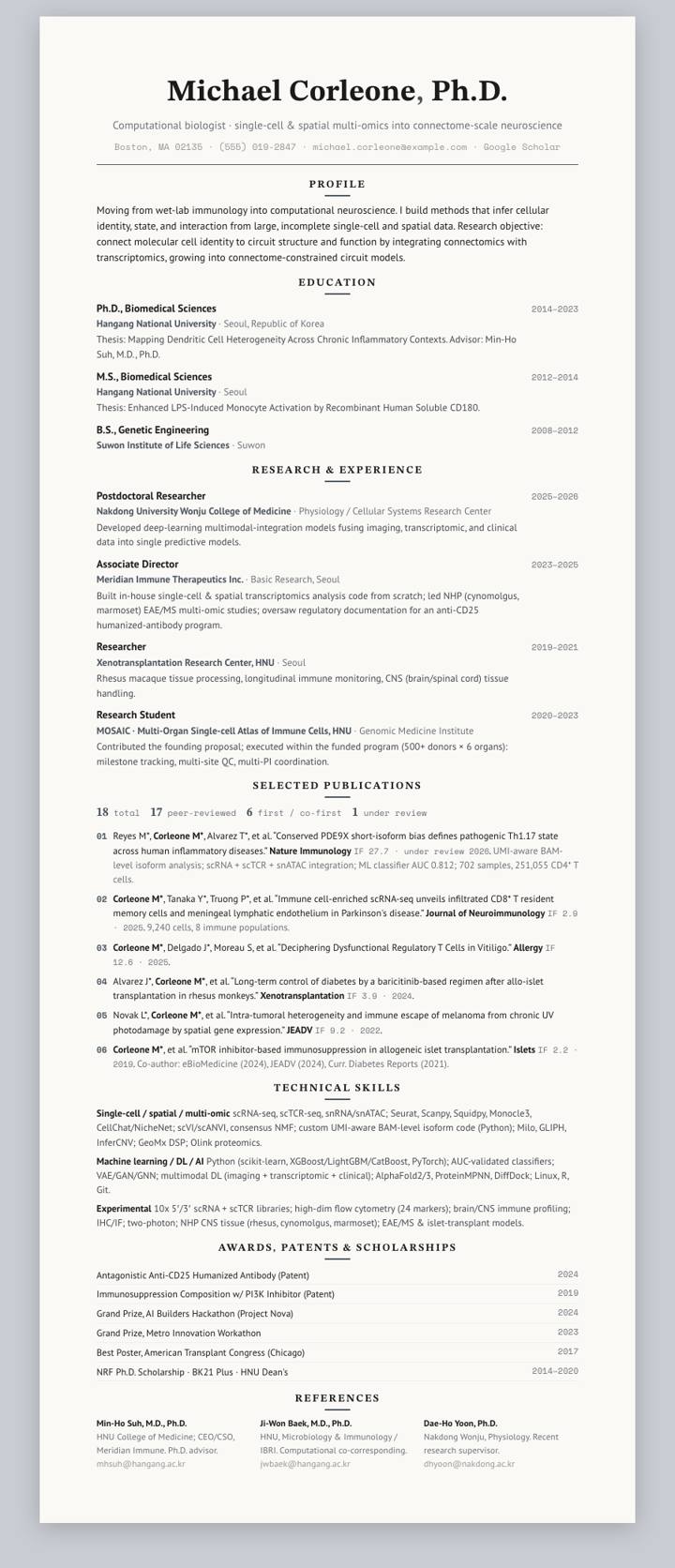 Pewter Centered CV template preview