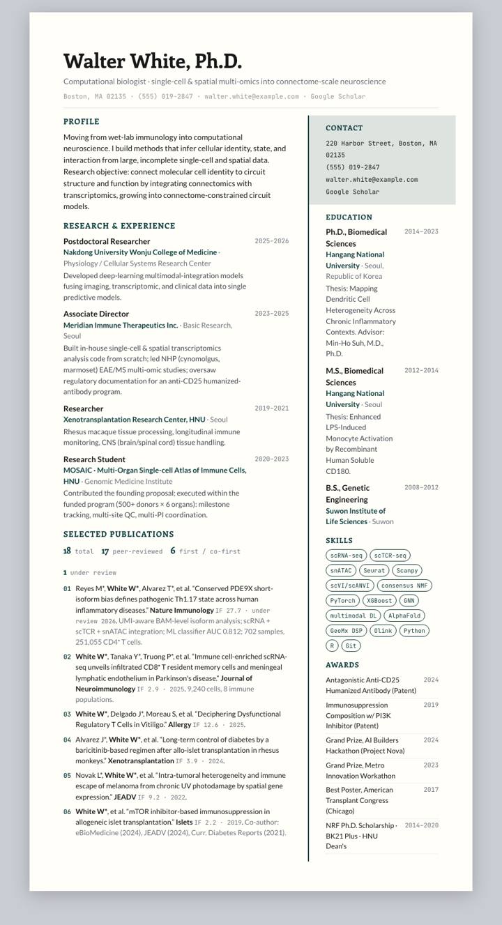 Cambridge Rail CV template preview