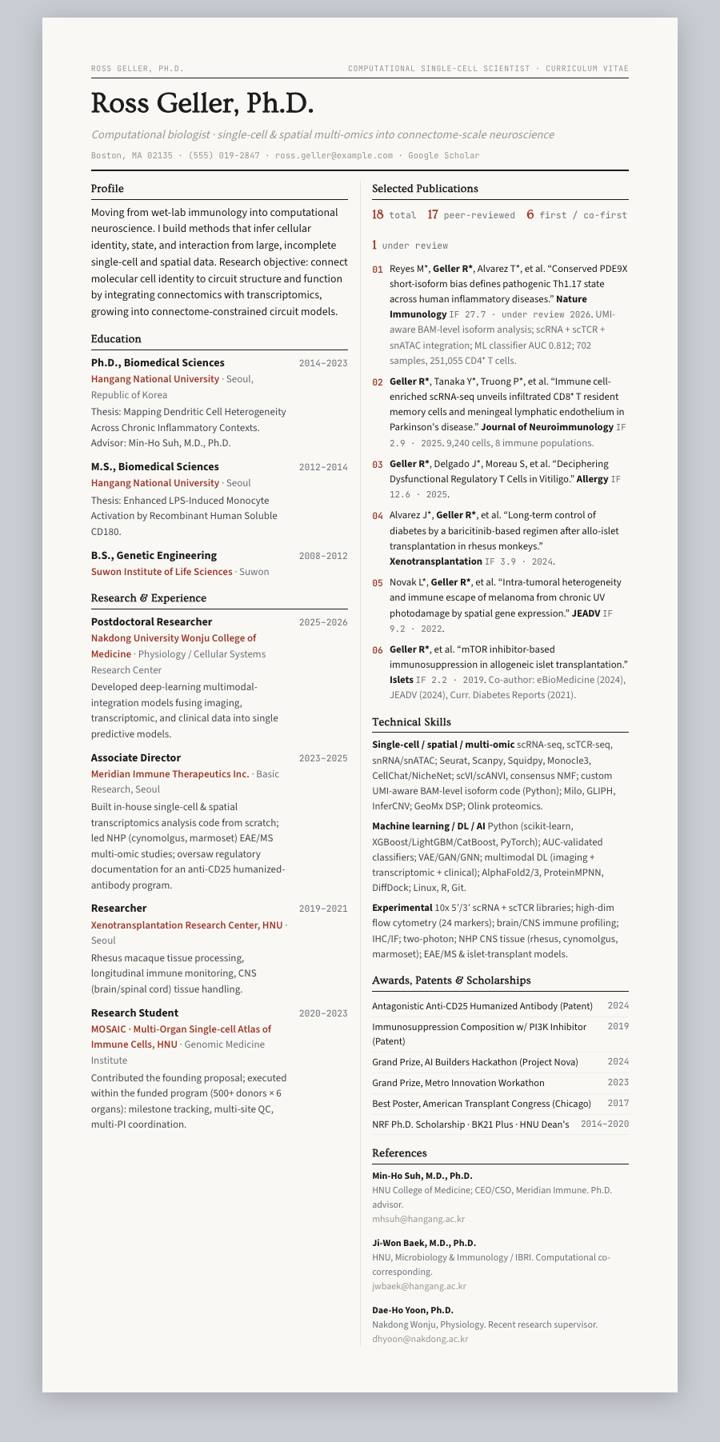 Brick Broadsheet CV template preview