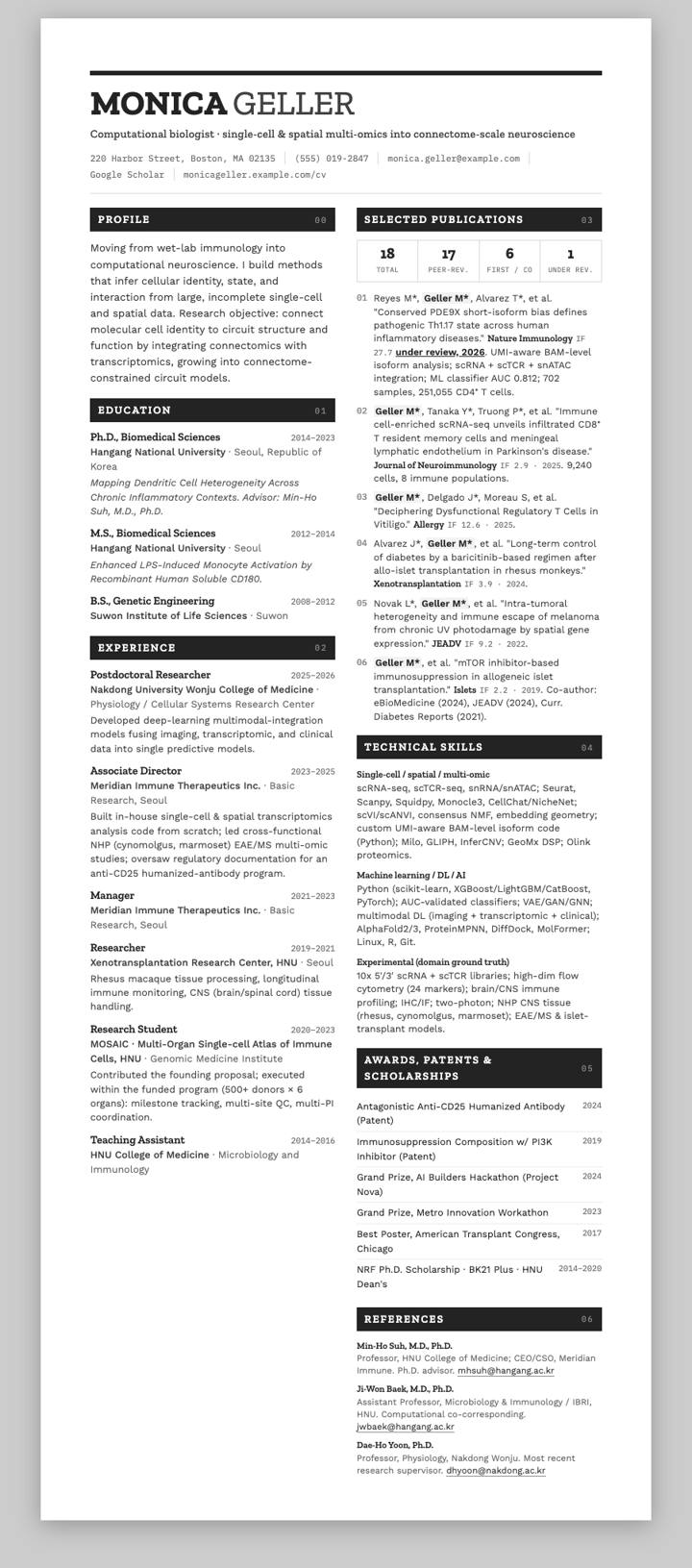 Graphite Grid CV template preview