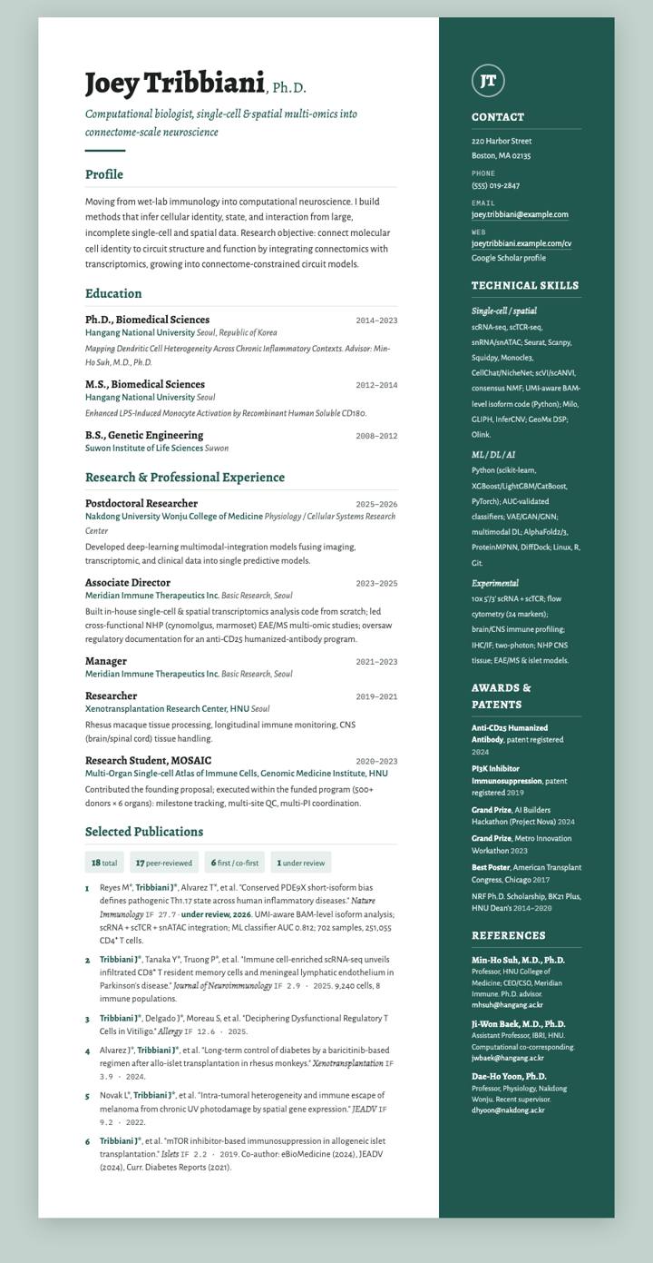 Pine Two-Tone CV template preview