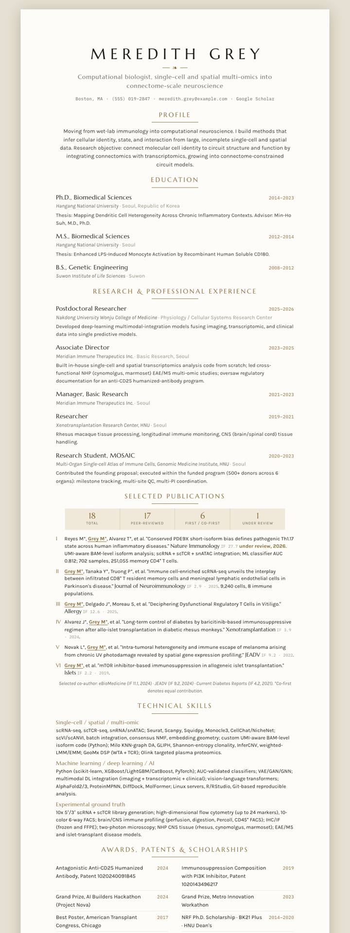 Bronze Marcellus CV template preview