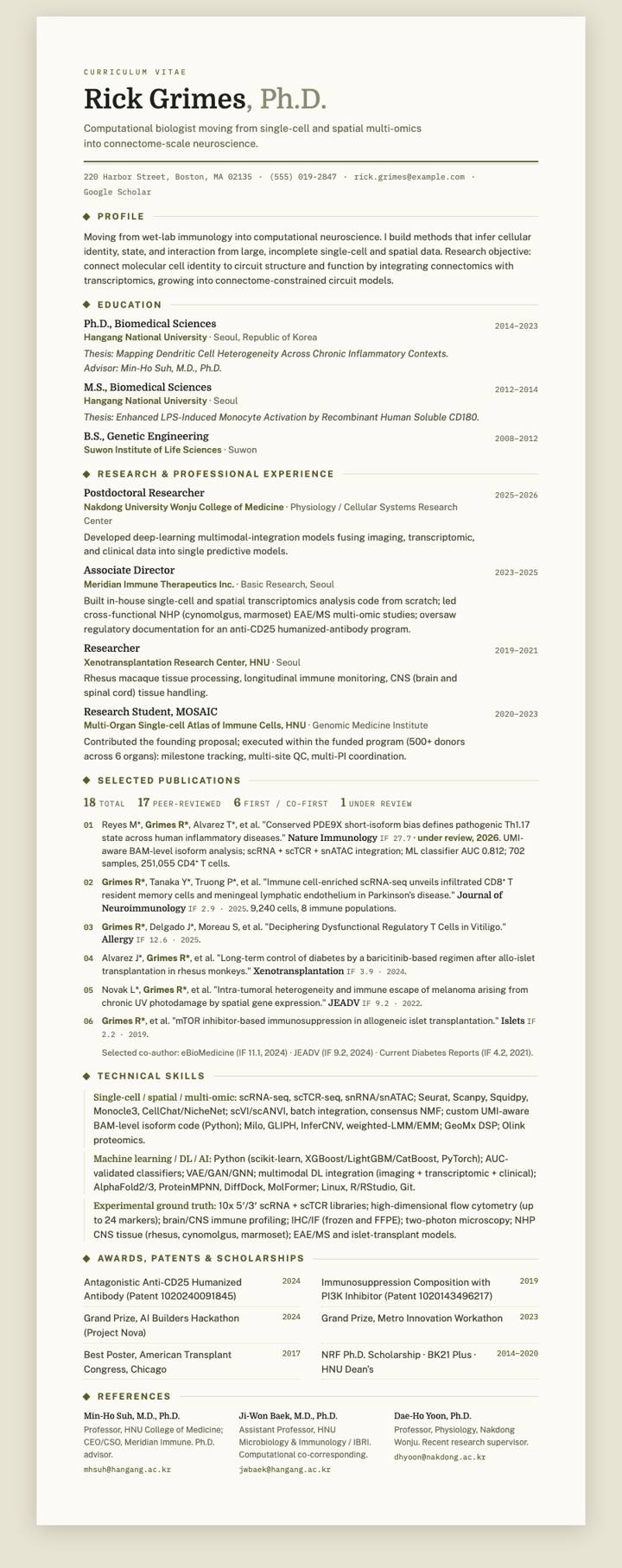 Olive Domine CV template preview