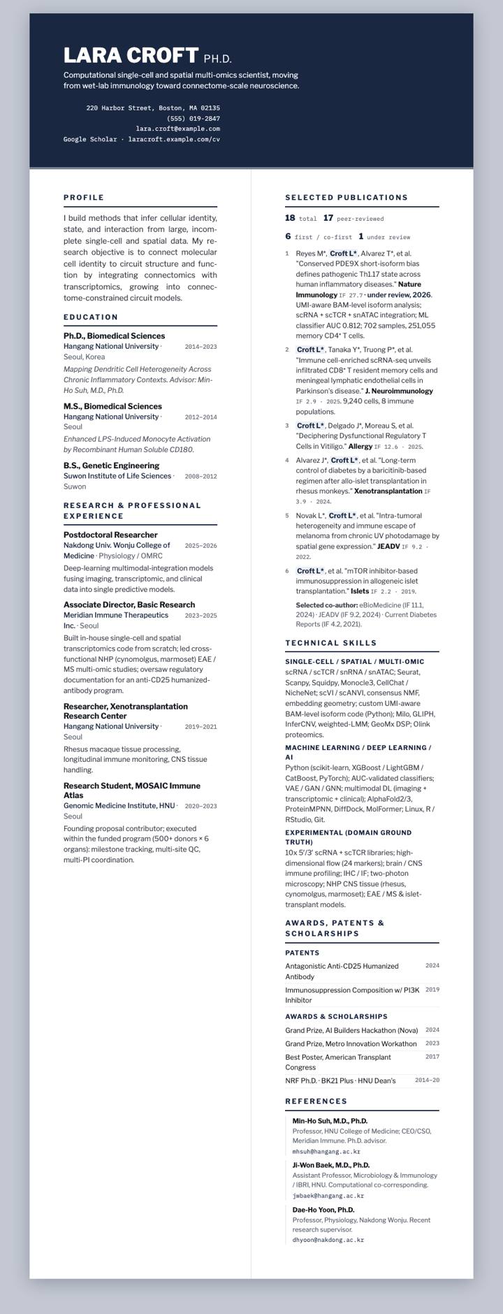 Midnight Franklin CV template preview
