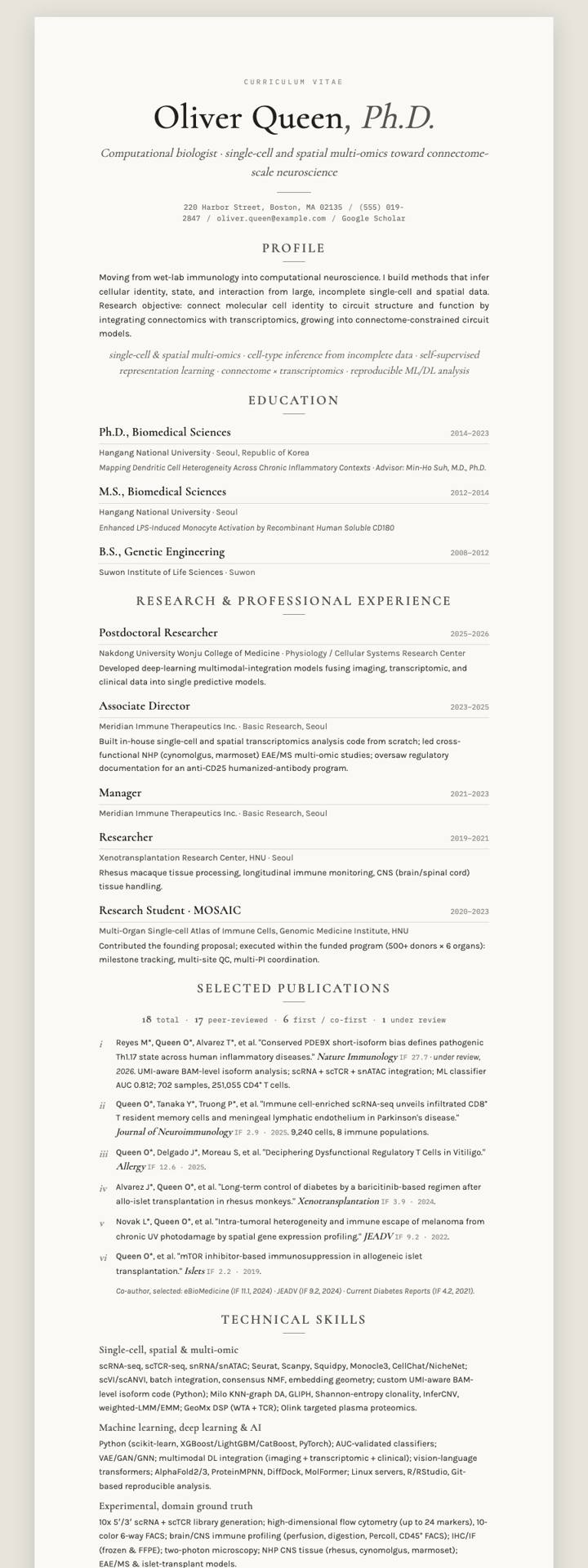 Stone Cormorant CV template preview