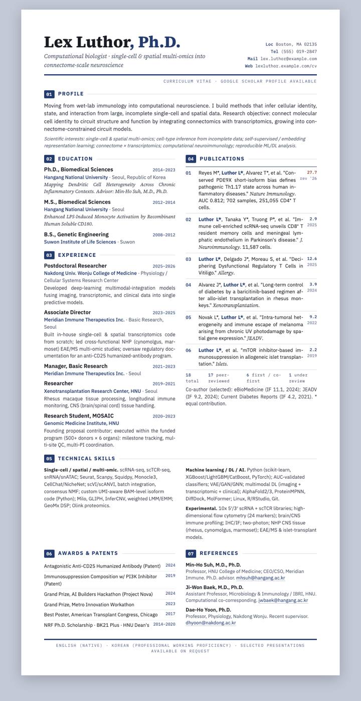 Navy Ledger Grid CV template preview