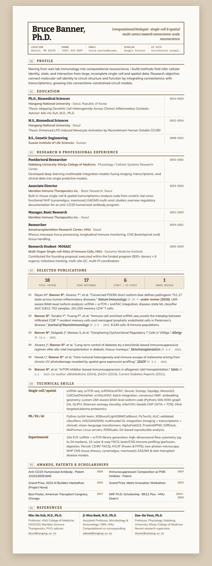 Umber Ledger CV template preview