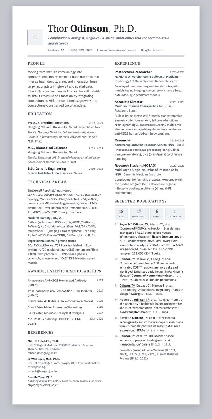 Pewter Two-Column CV template preview