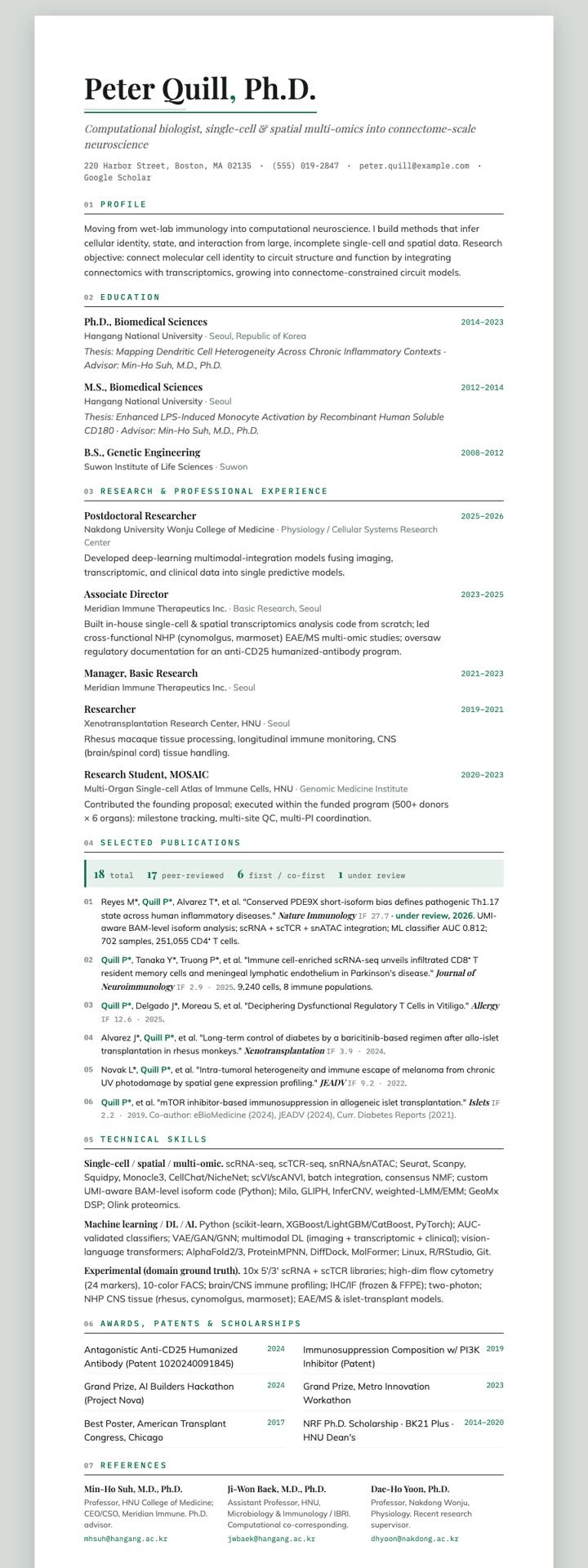 Emerald Hairline CV template preview
