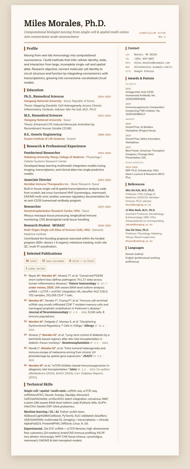Terra Domine CV template preview