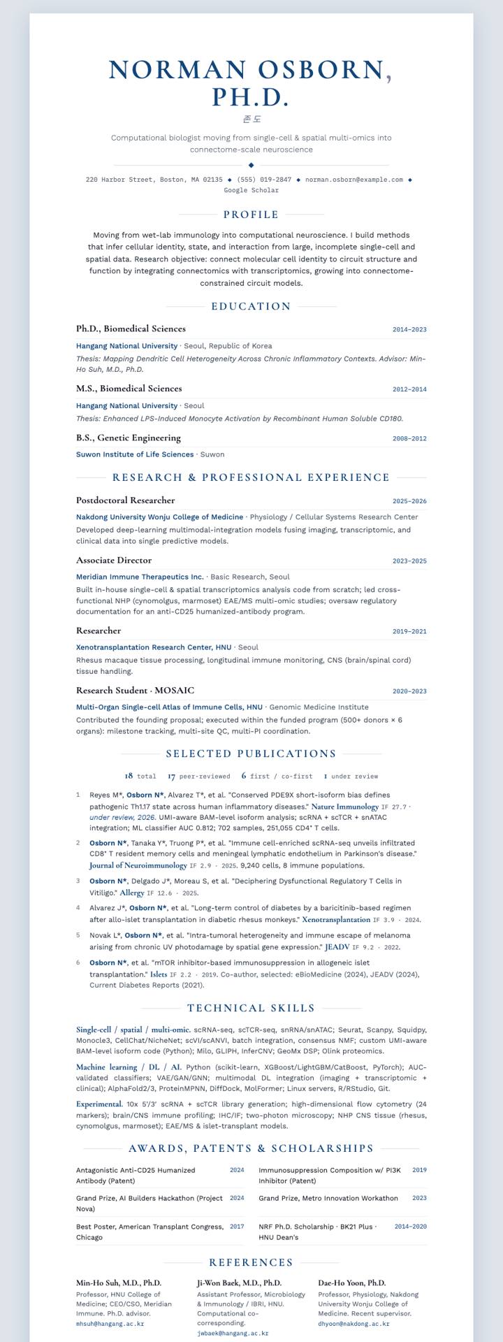 Byzantine Blue CV template preview