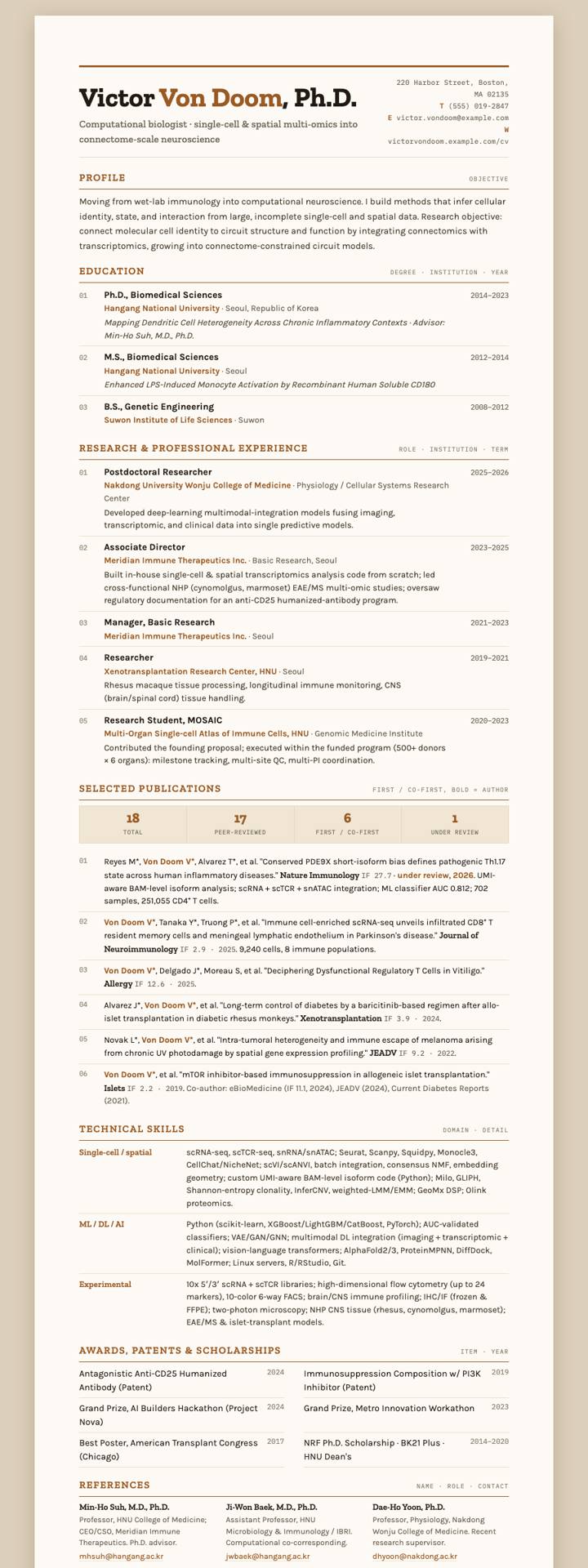 Copper Ledger CV template preview