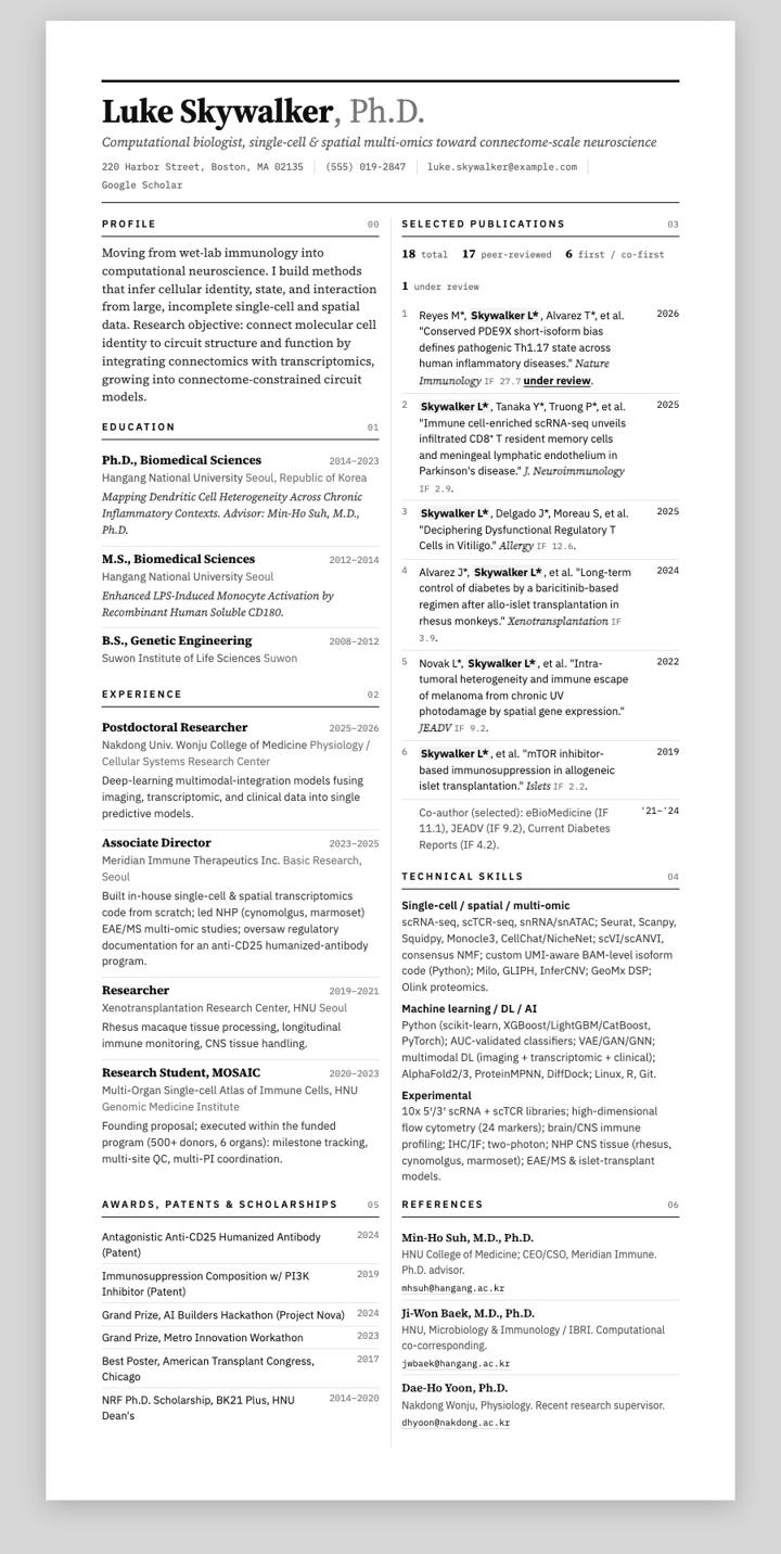 Onyx Grid CV template preview