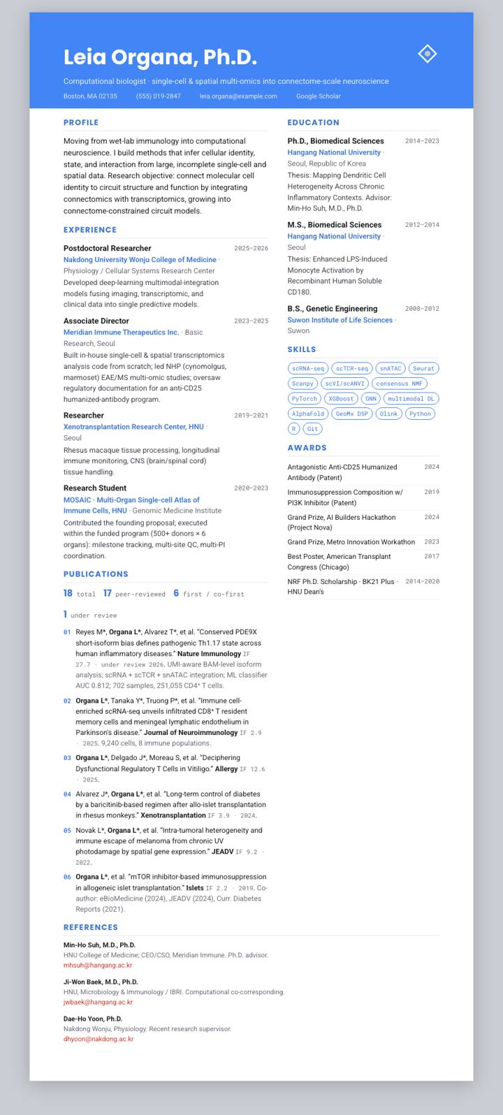 Google CV template preview