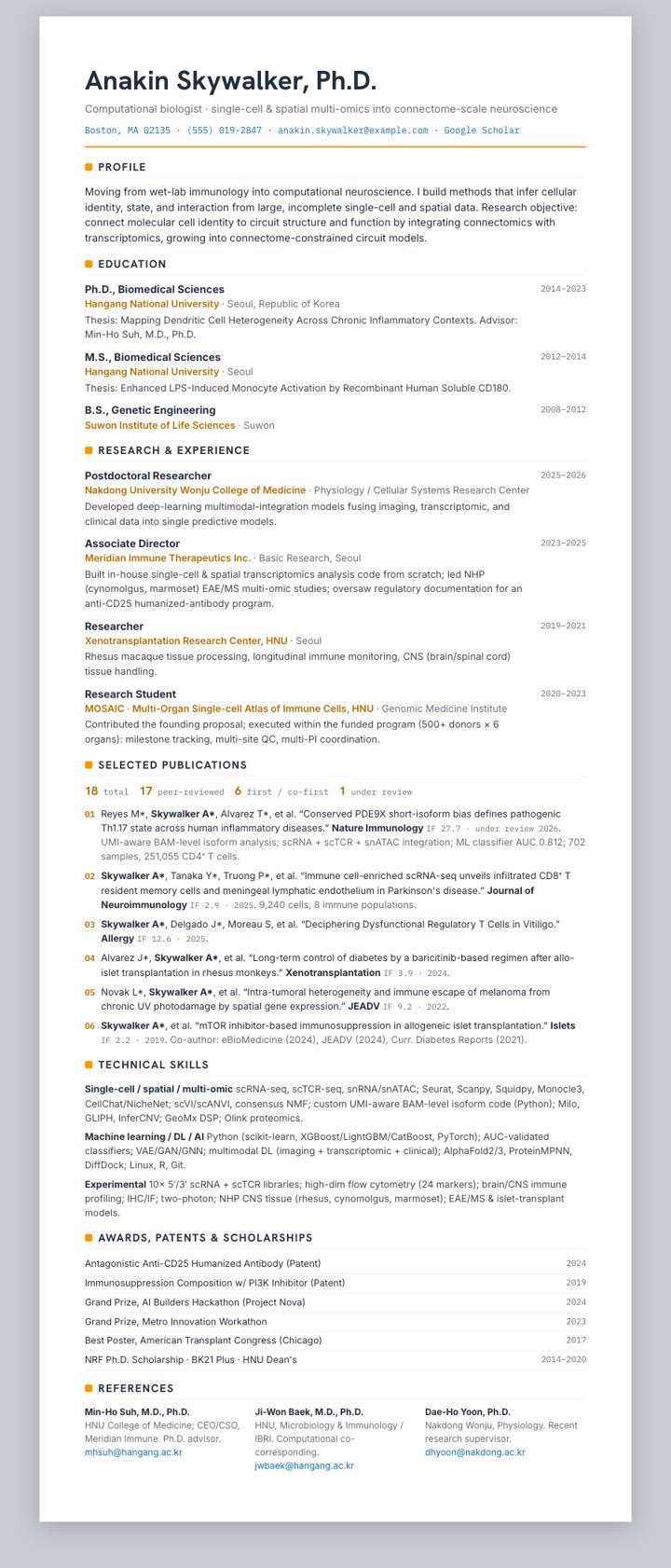 Amazon CV template preview