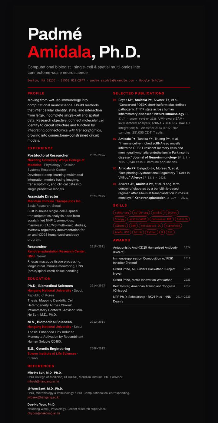 Netflix CV template preview