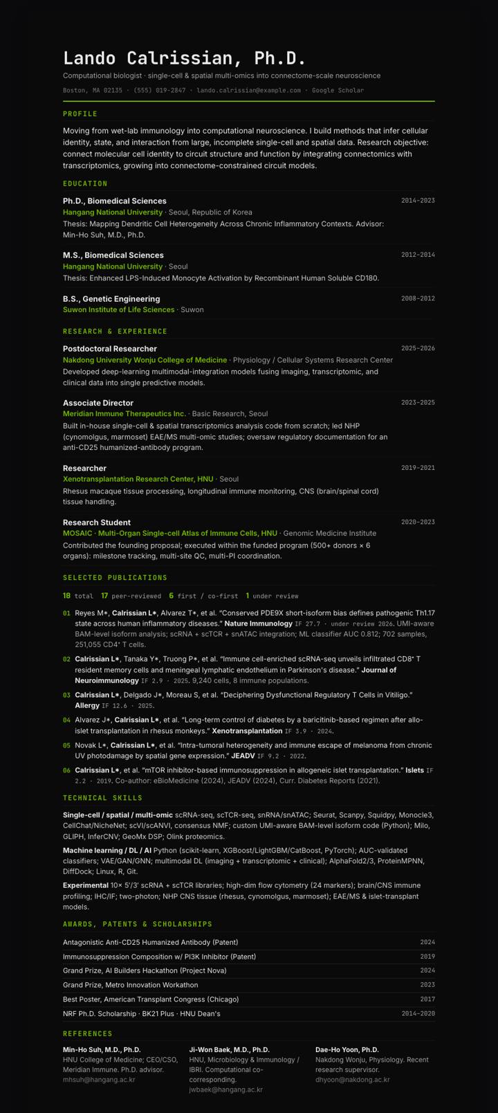 Nvidia CV template preview