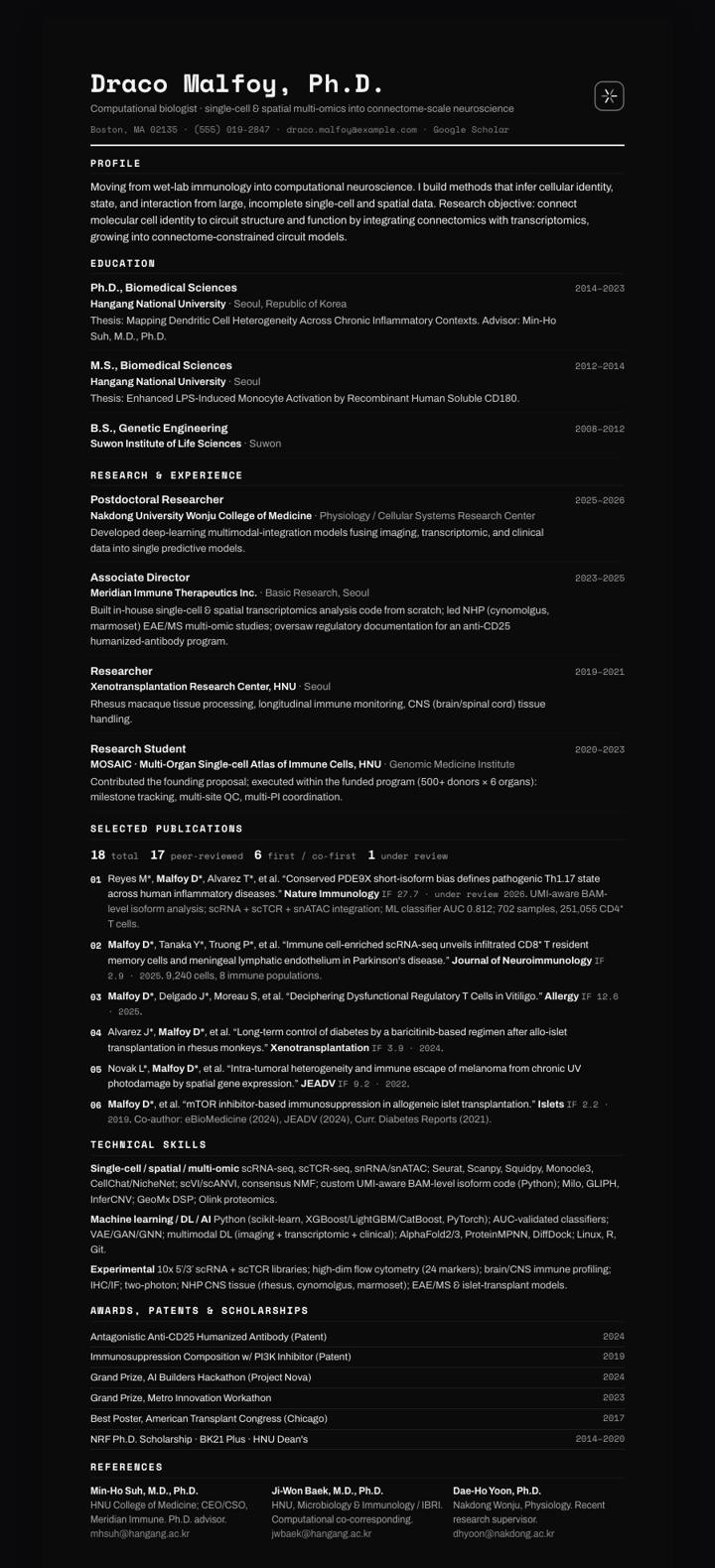 Palantir CV template preview