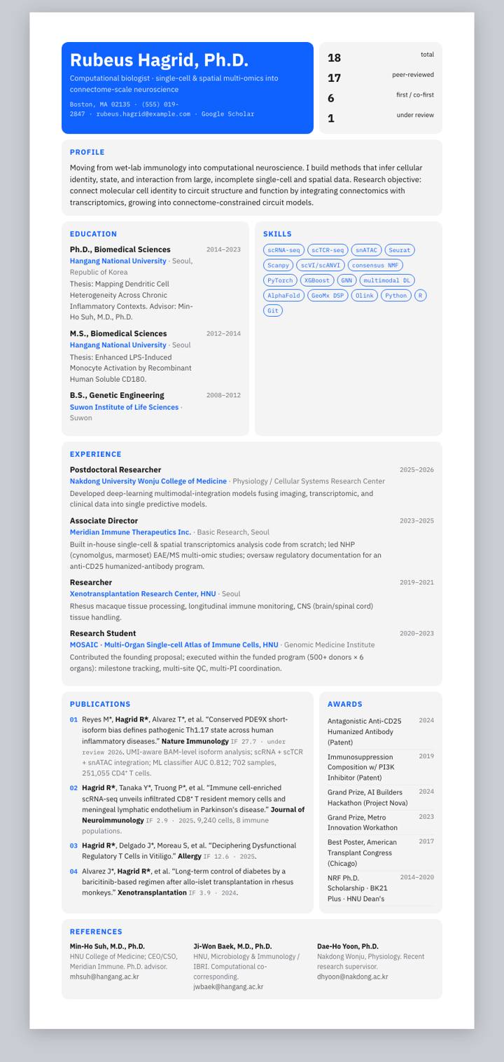IBM CV template preview