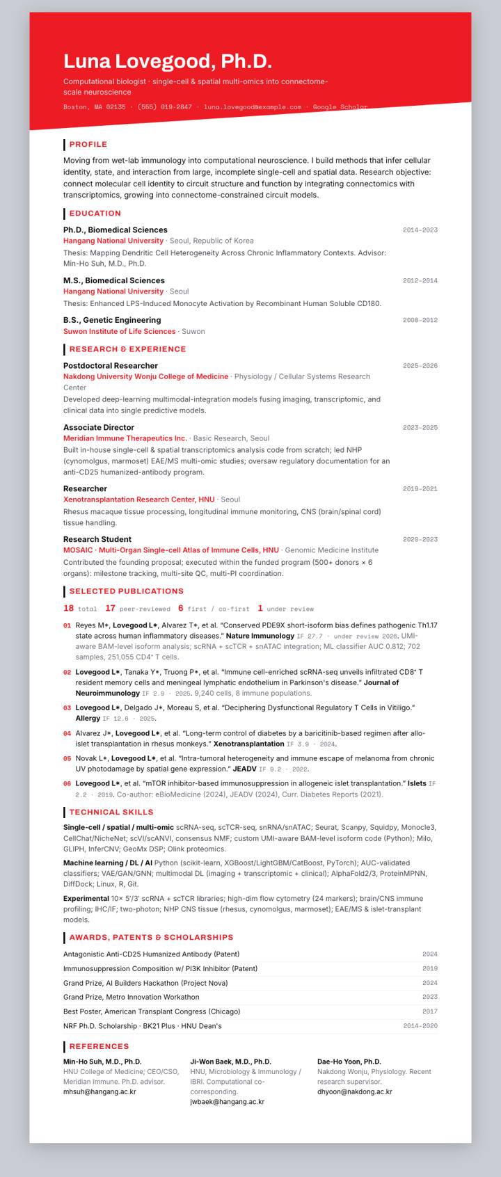 AMD CV template preview