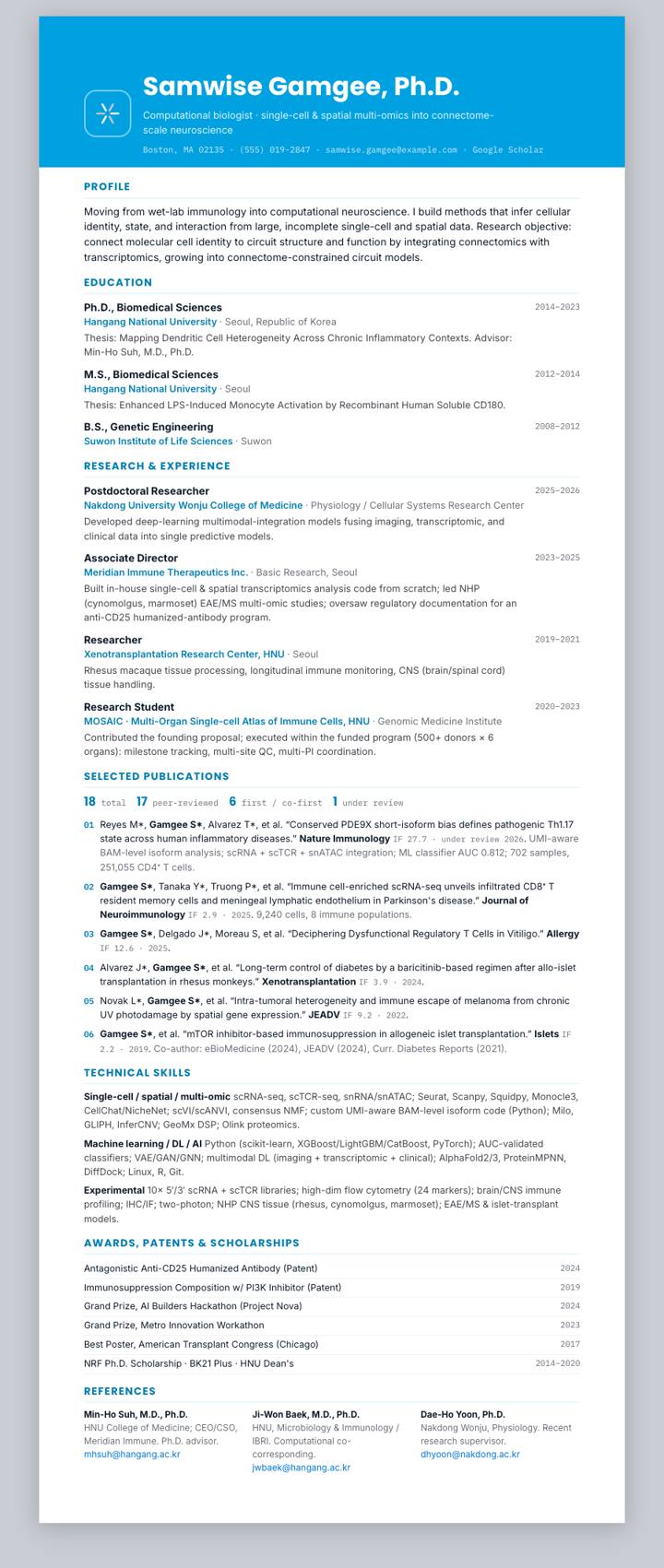 Salesforce CV template preview