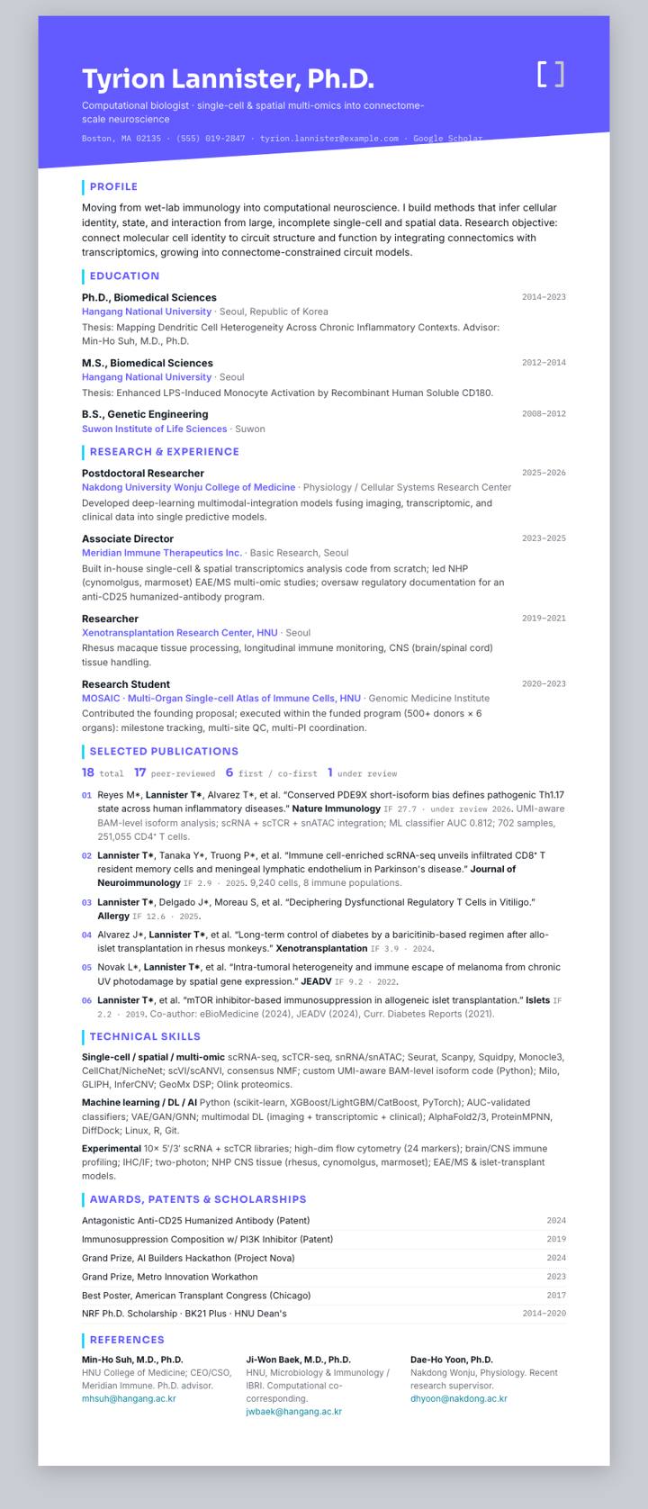 Stripe CV template preview