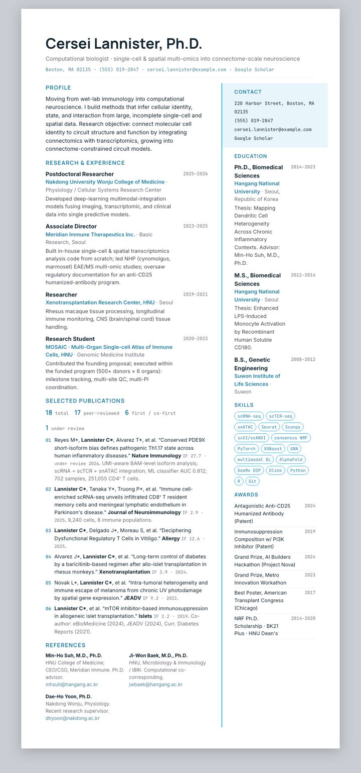 Snowflake CV template preview