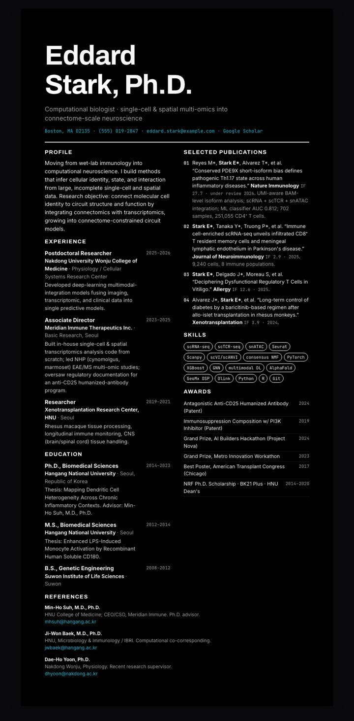 Uber CV template preview