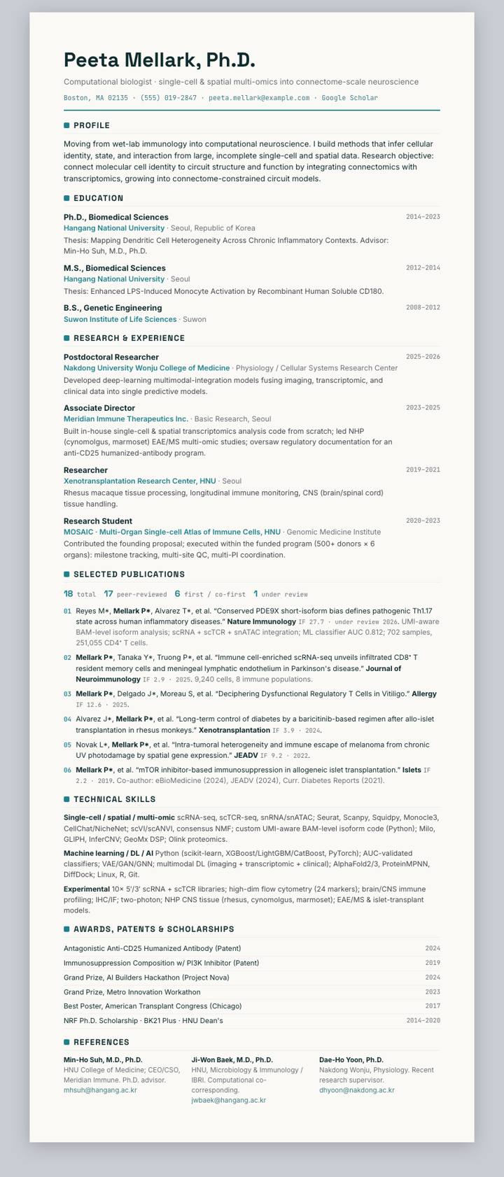 Perplexity CV template preview