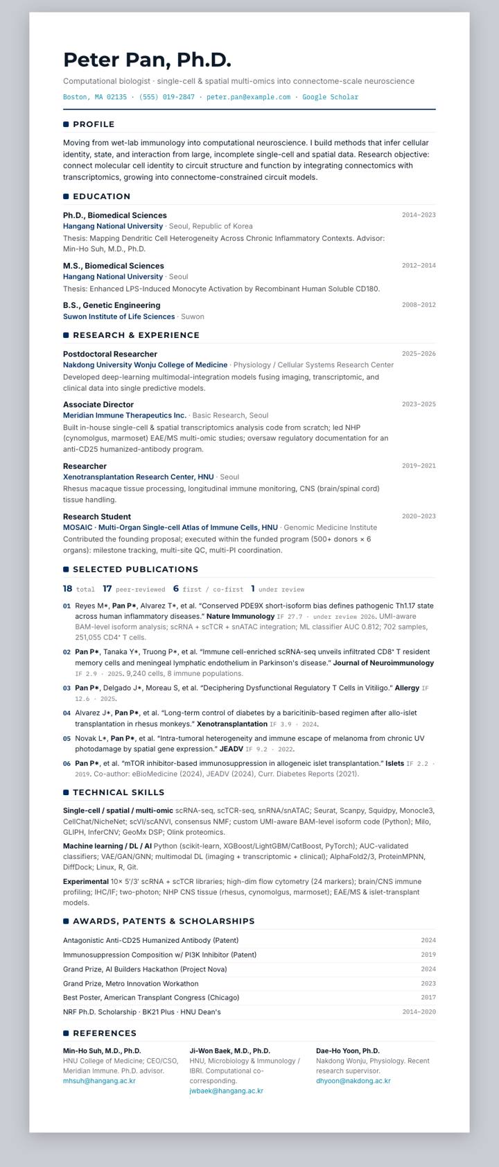 Hyundai Motor CV template preview