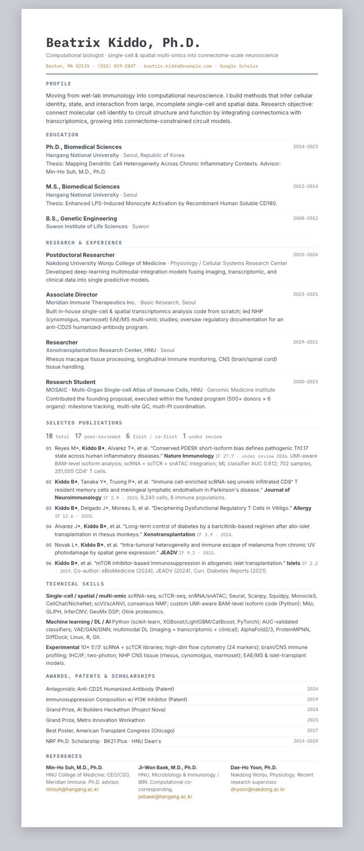 Korea Zinc CV template preview