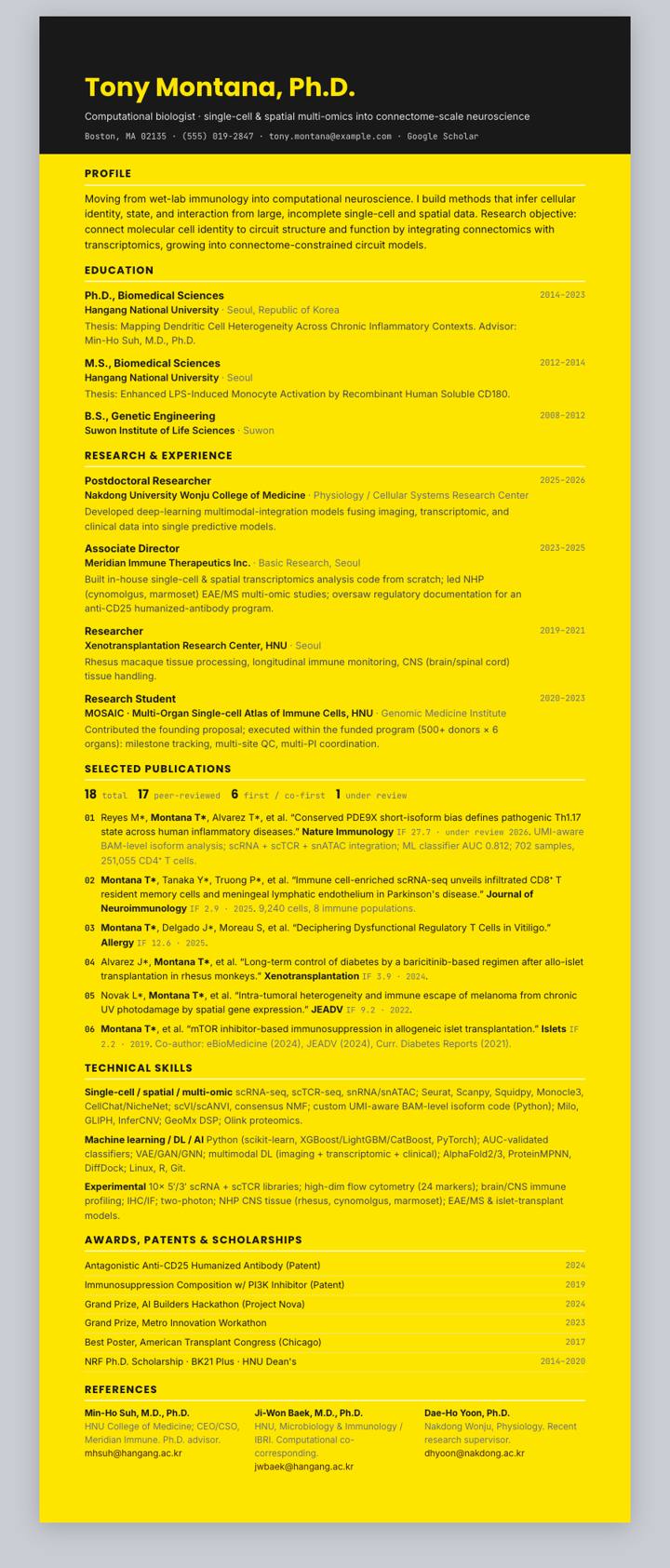 Kakao CV template preview