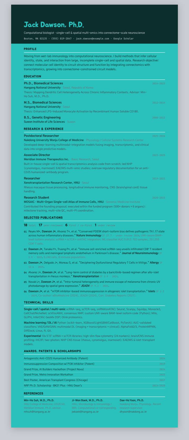 Baemin CV template preview