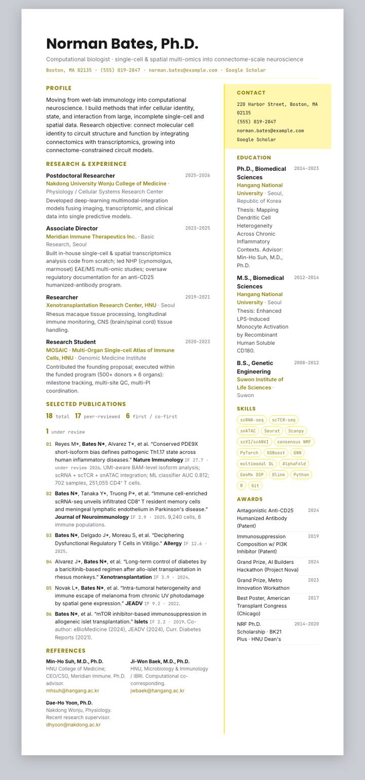 KakaoBank CV template preview