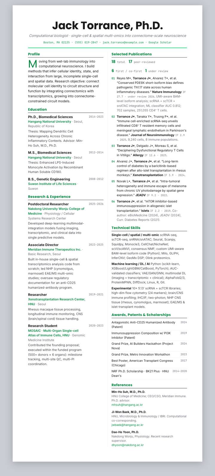 Naver Webtoon CV template preview