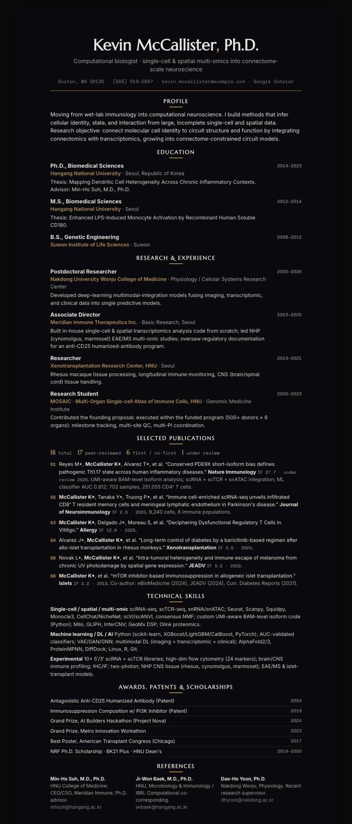 Pearl Abyss CV template preview