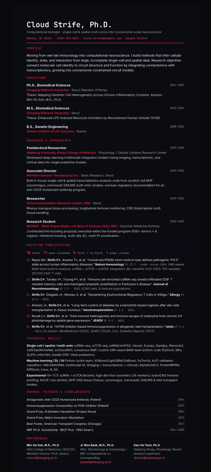 Moderna CV template preview