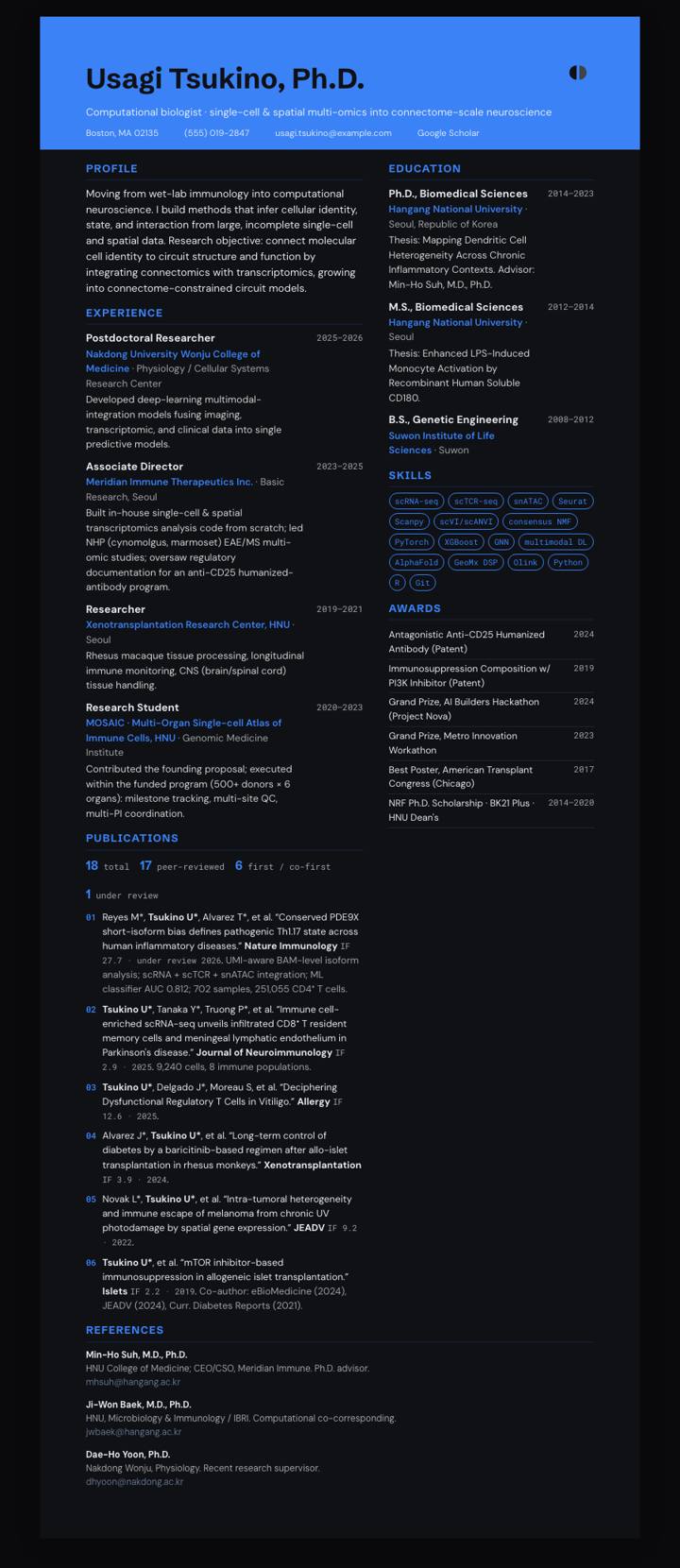 Graphite Carbon Banner CV template preview