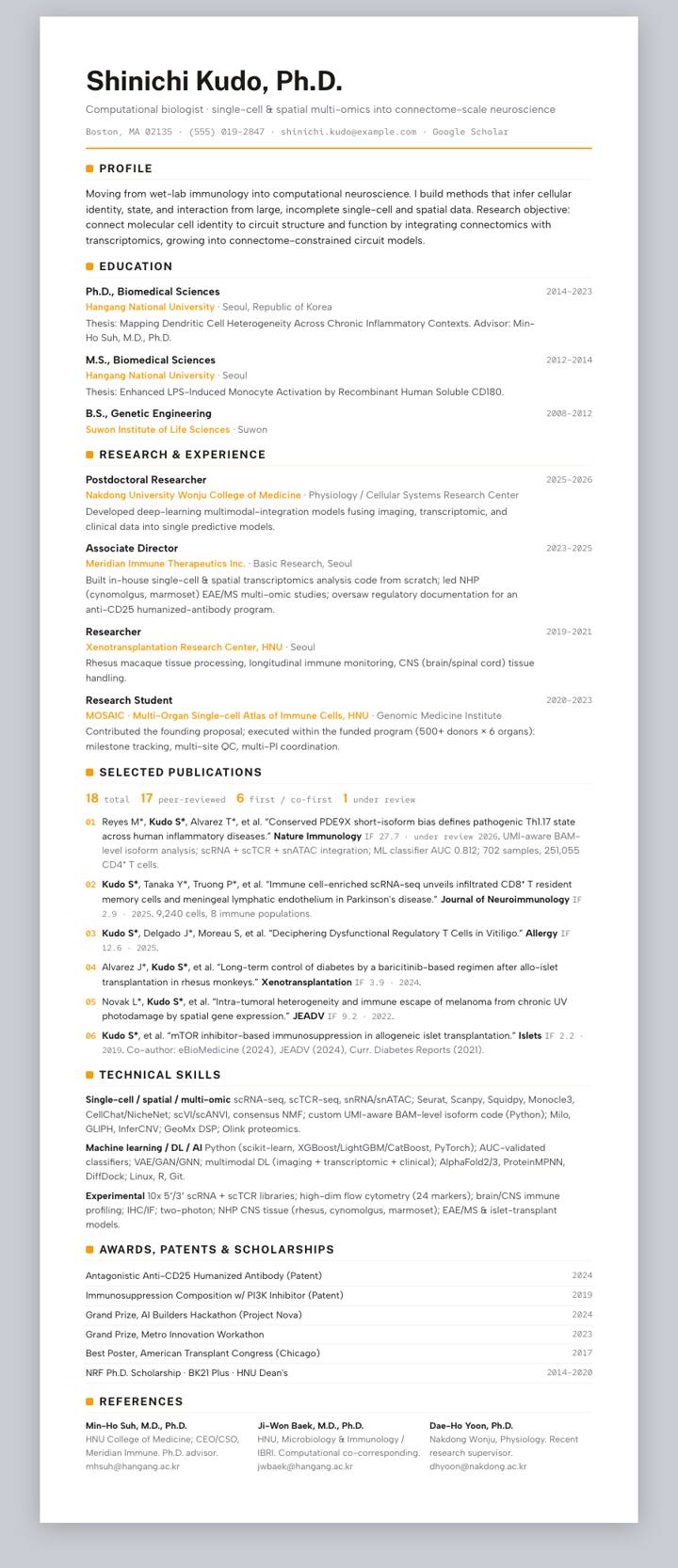 Amber Clean Rule CV template preview