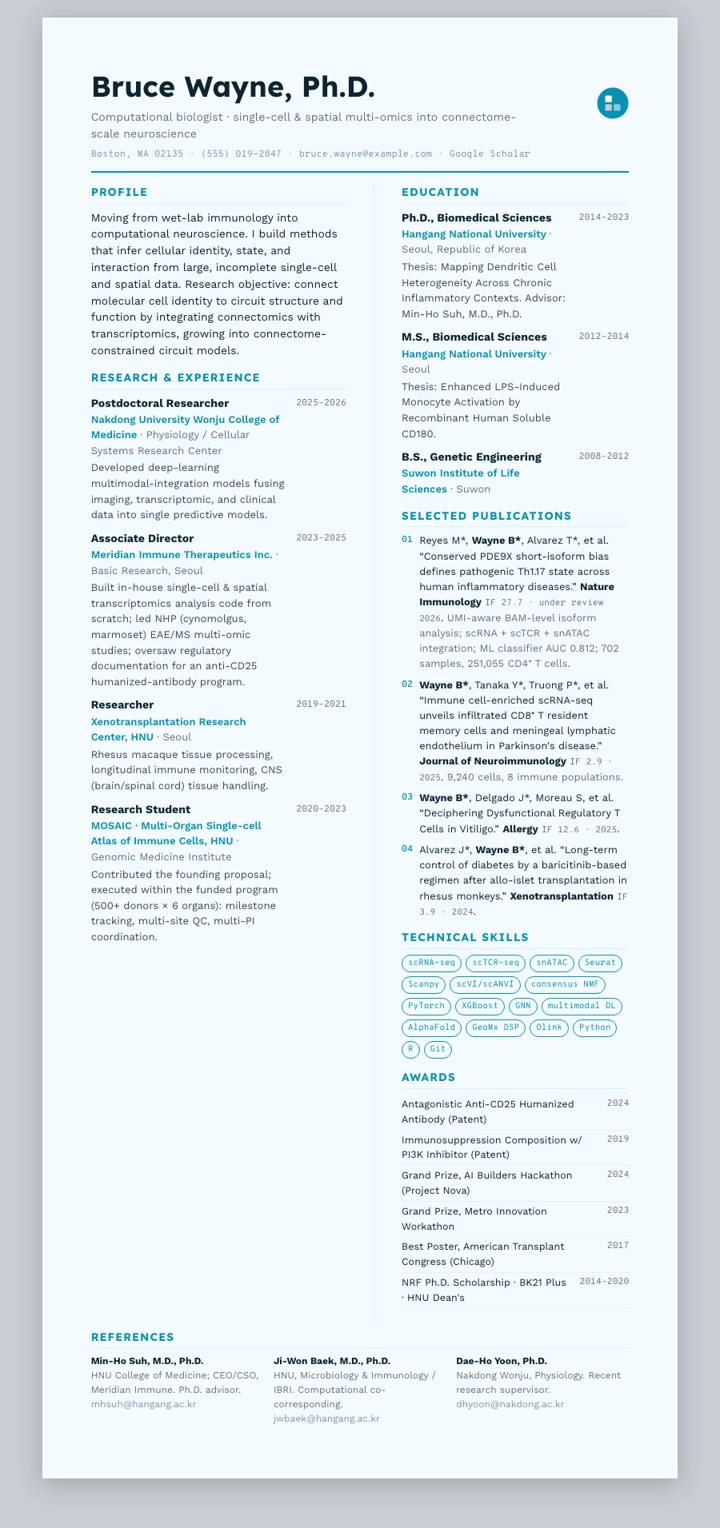 Cyan Frost Bicolumn CV template preview