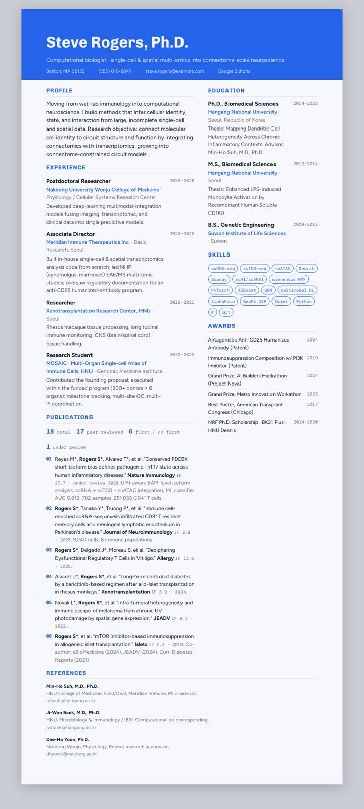 Blue Steel Banner CV template preview
