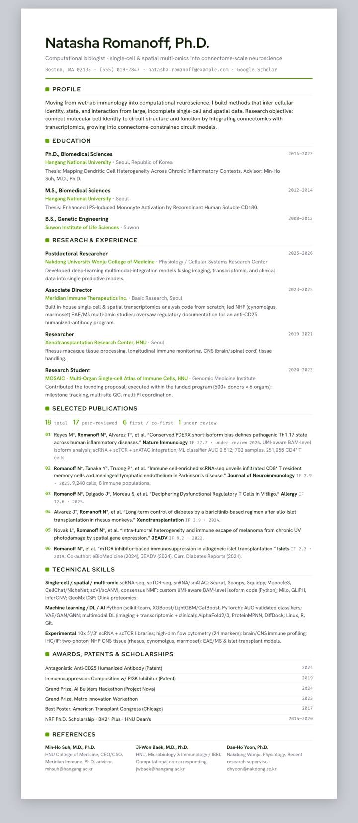 Lime UI Rule CV template preview